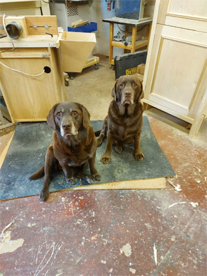 2 dogs at Christina Country Furniture
